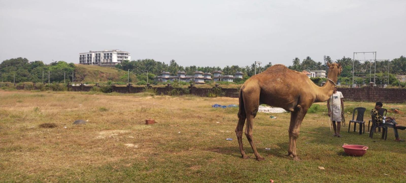 Bekal Fort Beach Resorts Bekal Town Ngoại thất bức ảnh